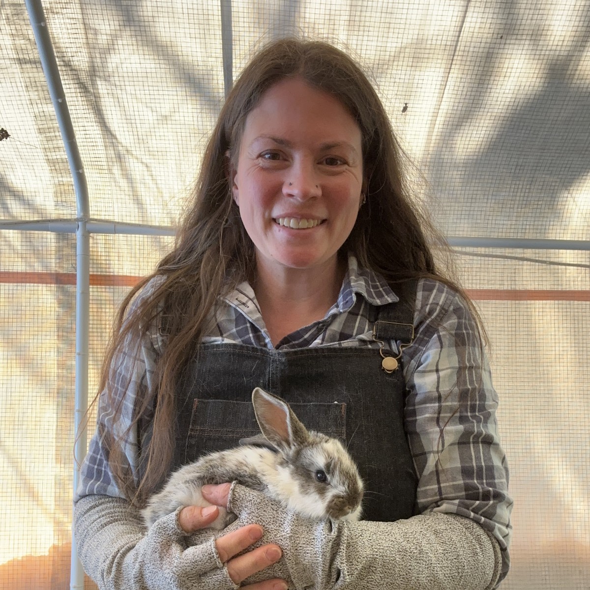 thebarnardgreyhound's Photo