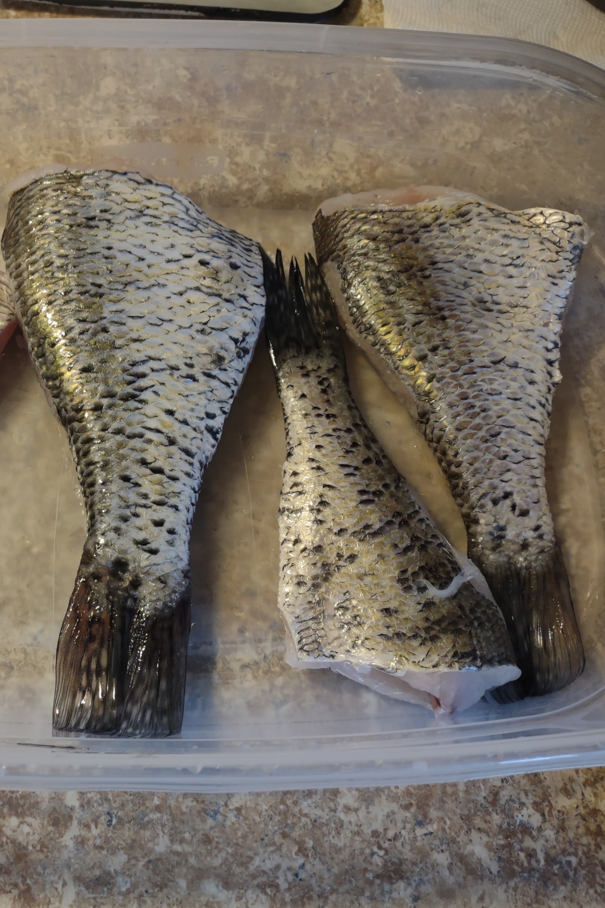 BigTeddyBear's Photo