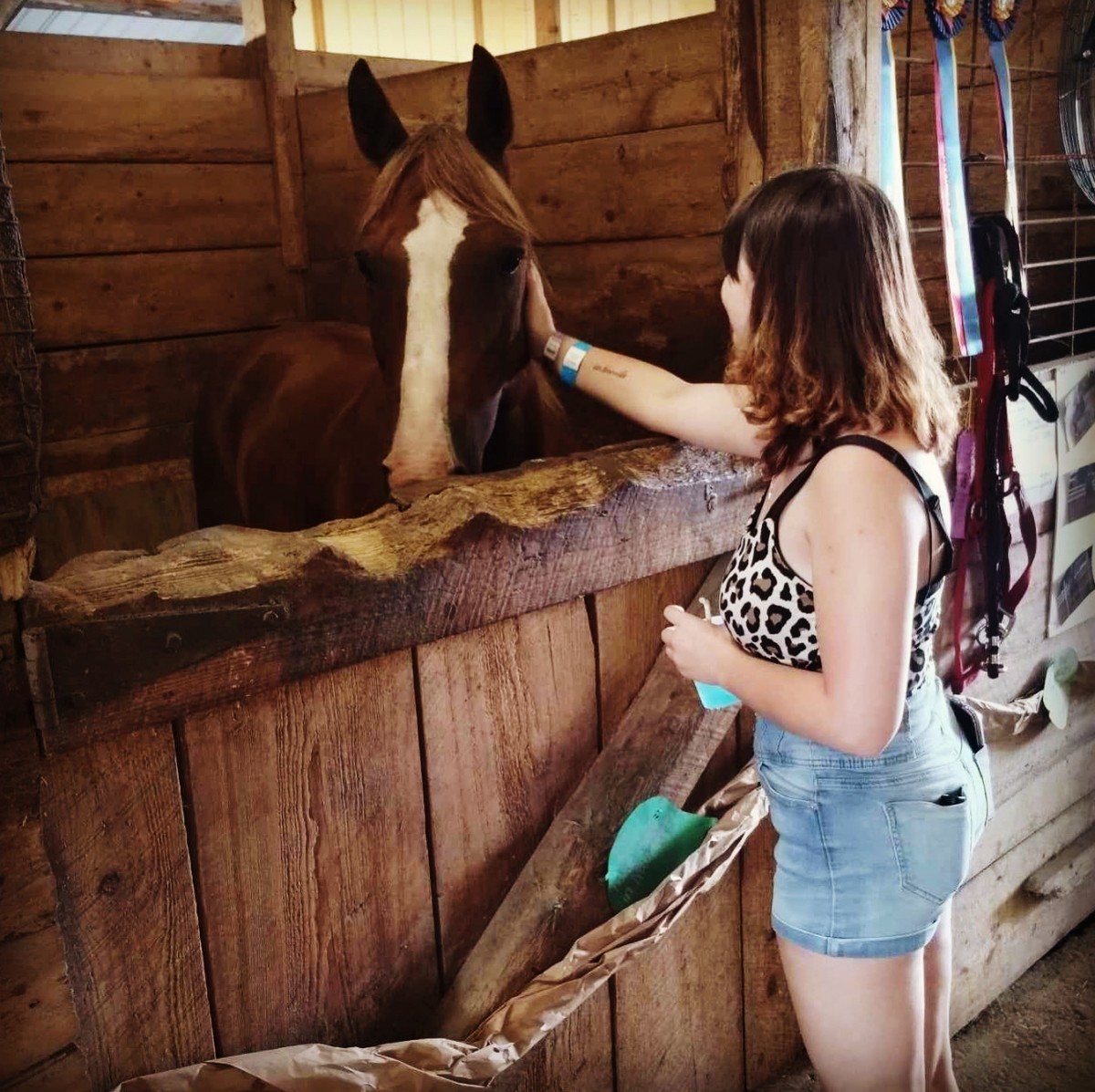 brownbreeannah2001's Photo