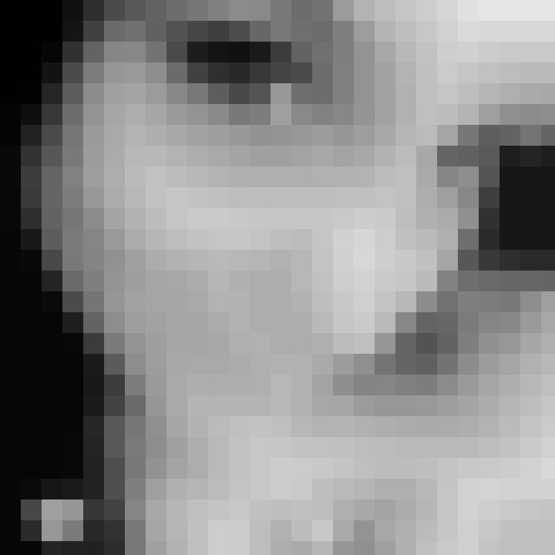 IAmthat1bunnyHunny's Photo