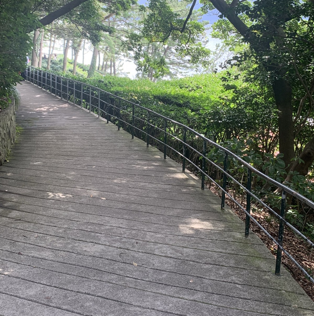 Tylerben1472545's Photo