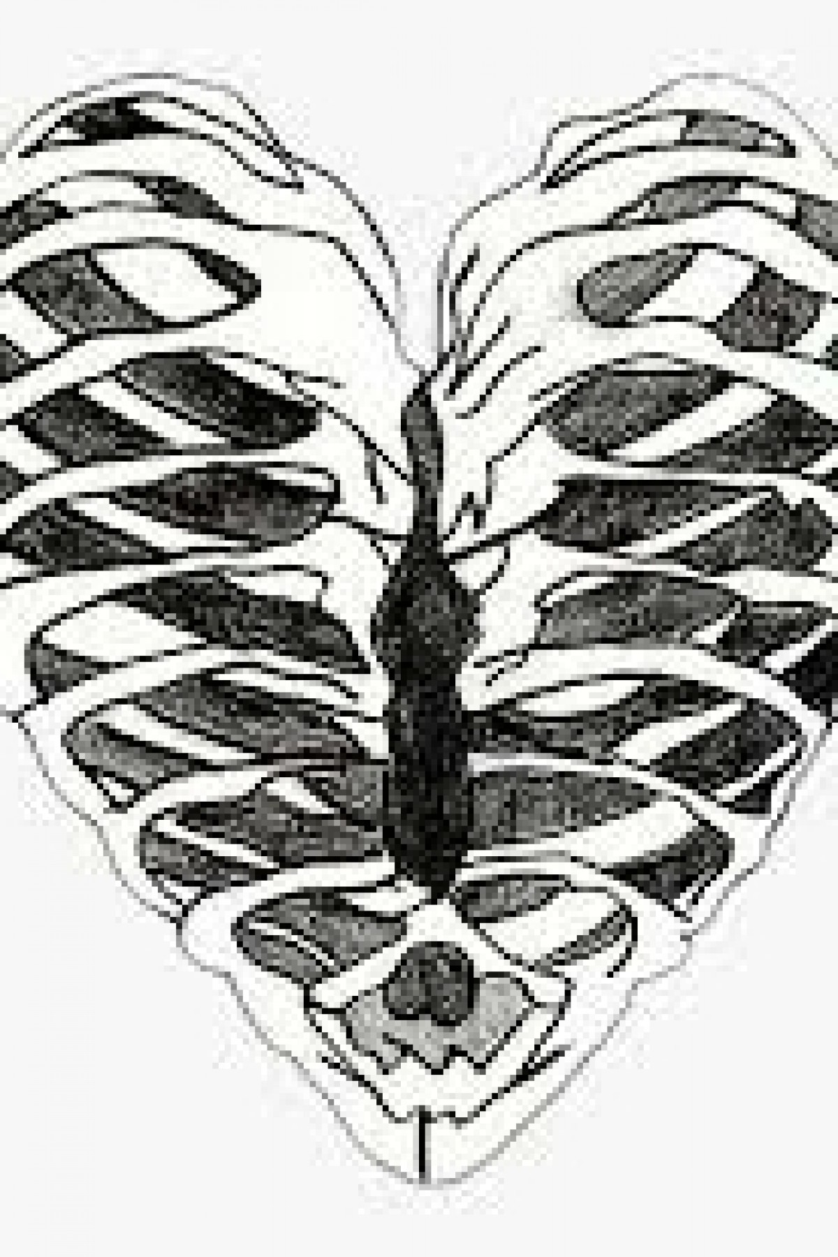 Kristine3088's Photo