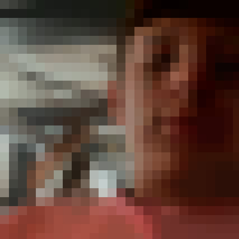 dolphin65589's Photo