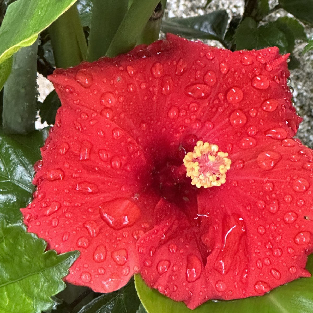 Davesfirstime's Photo