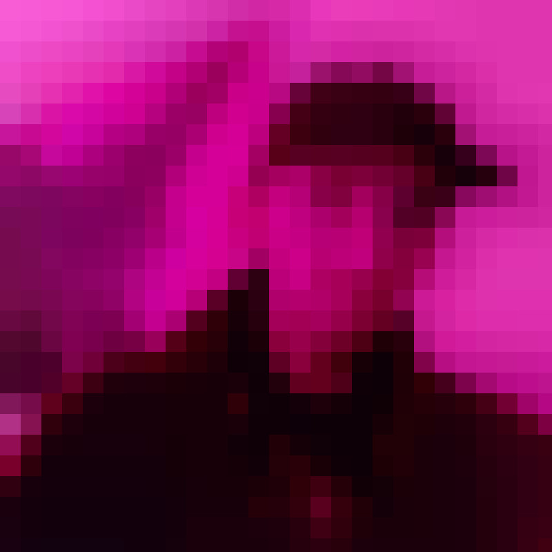 peacock15594's Photo