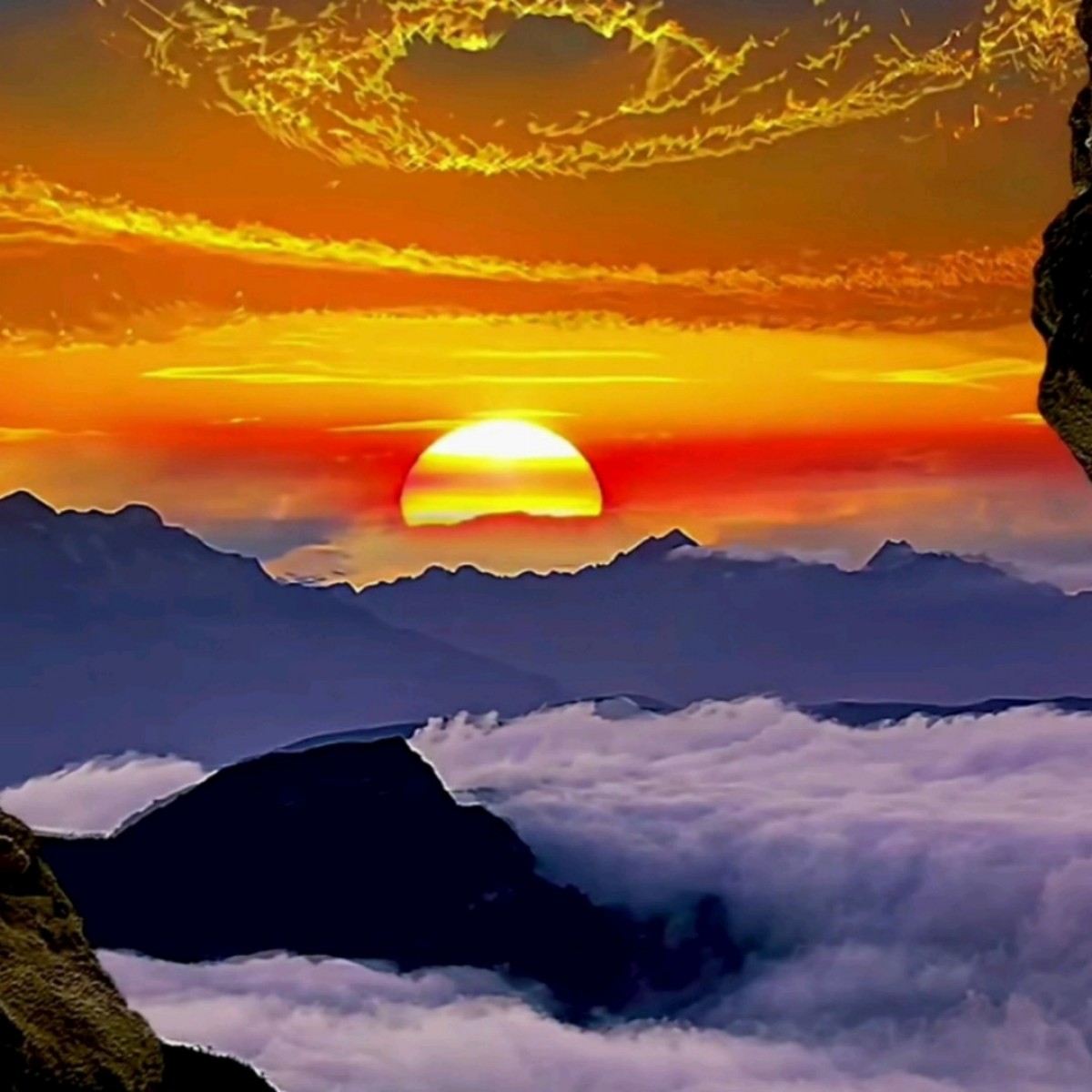 hamandela765716's Photo