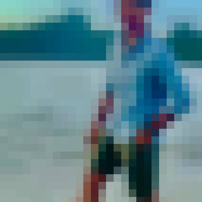 guessthecolor79508's Photo