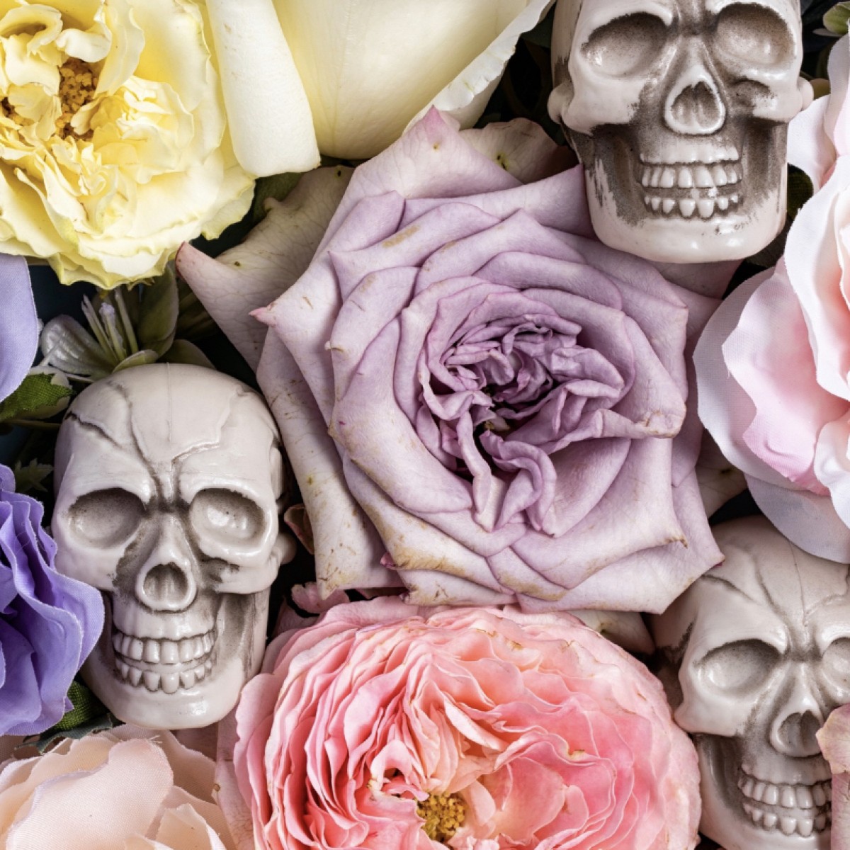 Tatiana74151's Photo