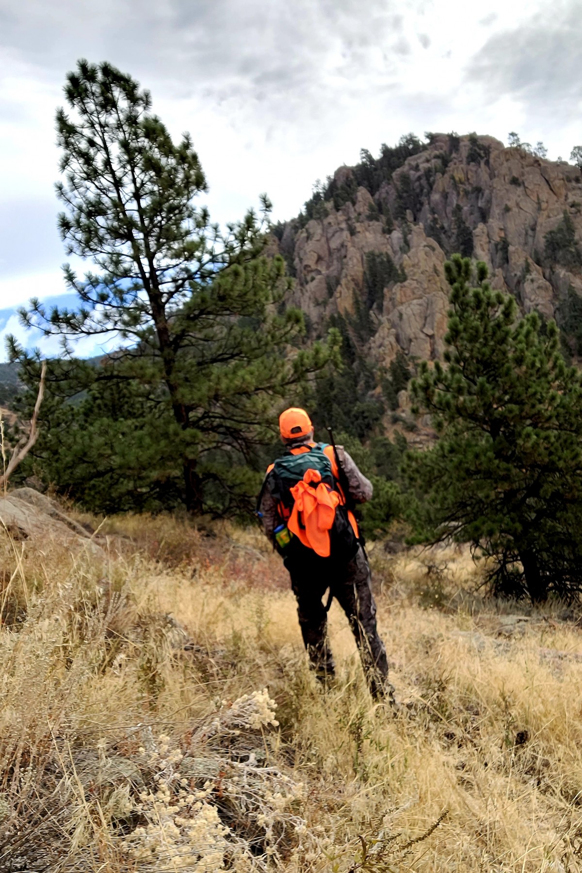 guybuddy68198647's Photo