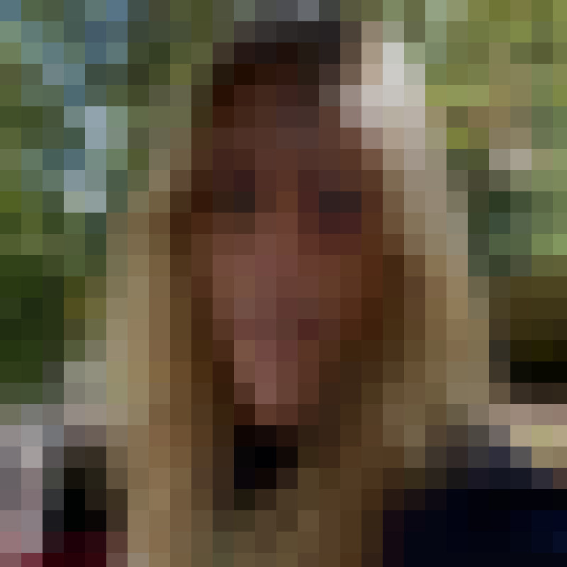 peacock54424's Photo