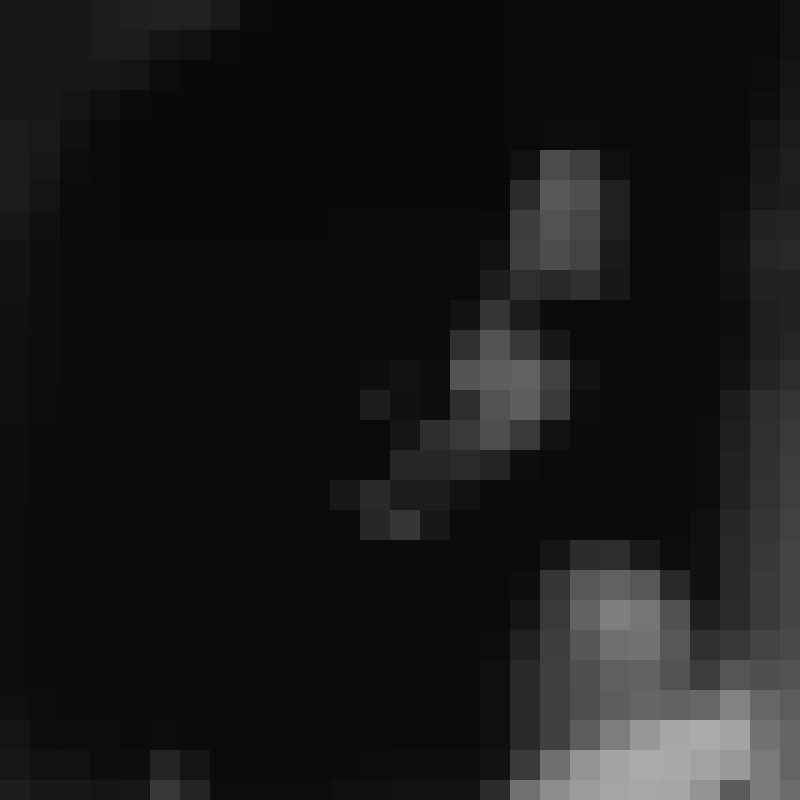 dolphin35147's Photo