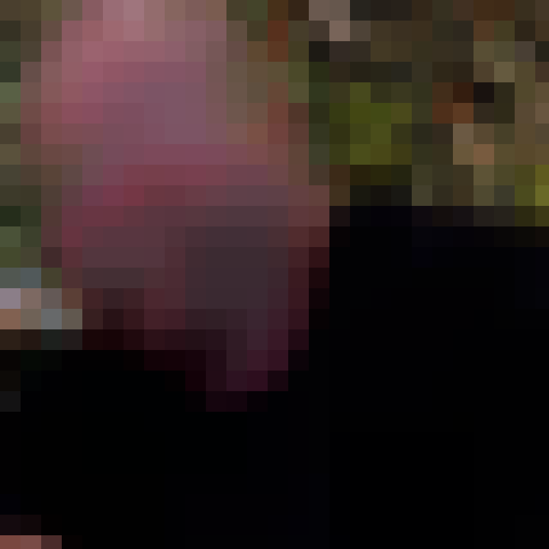 loveisnotachoice53553's Photo