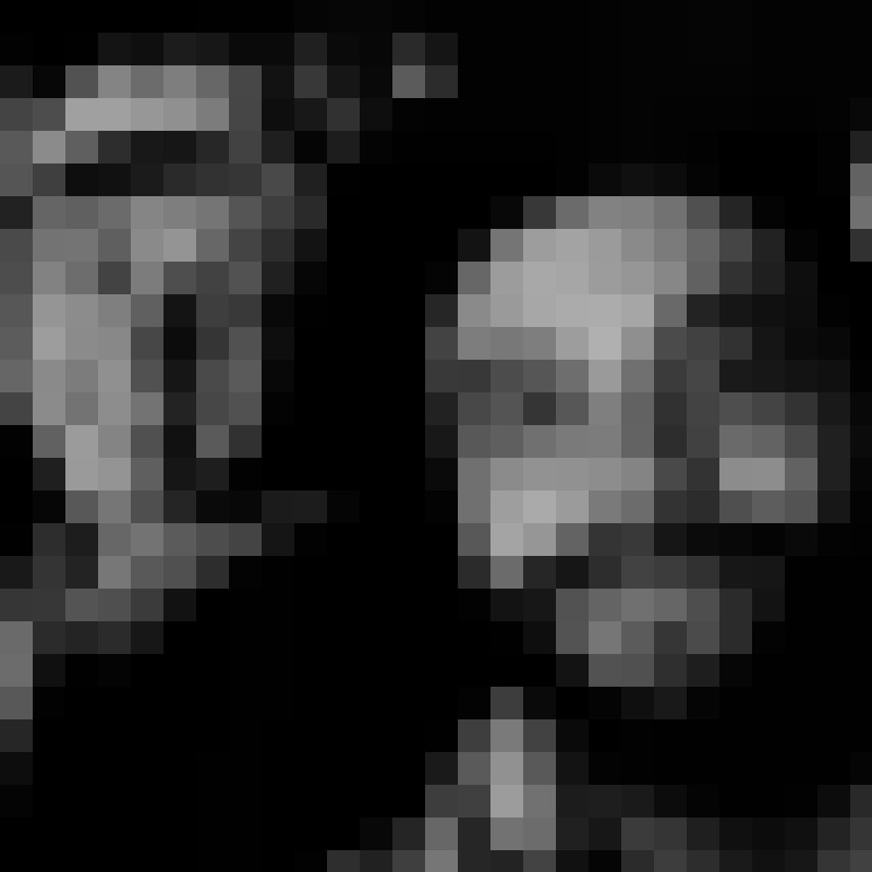 peacock88910's Photo