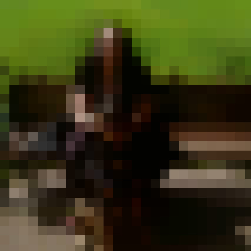 dolphin93115's Photo