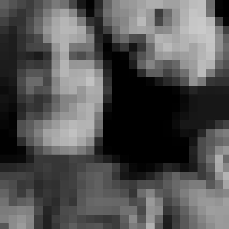 bi_pride6656's Photo