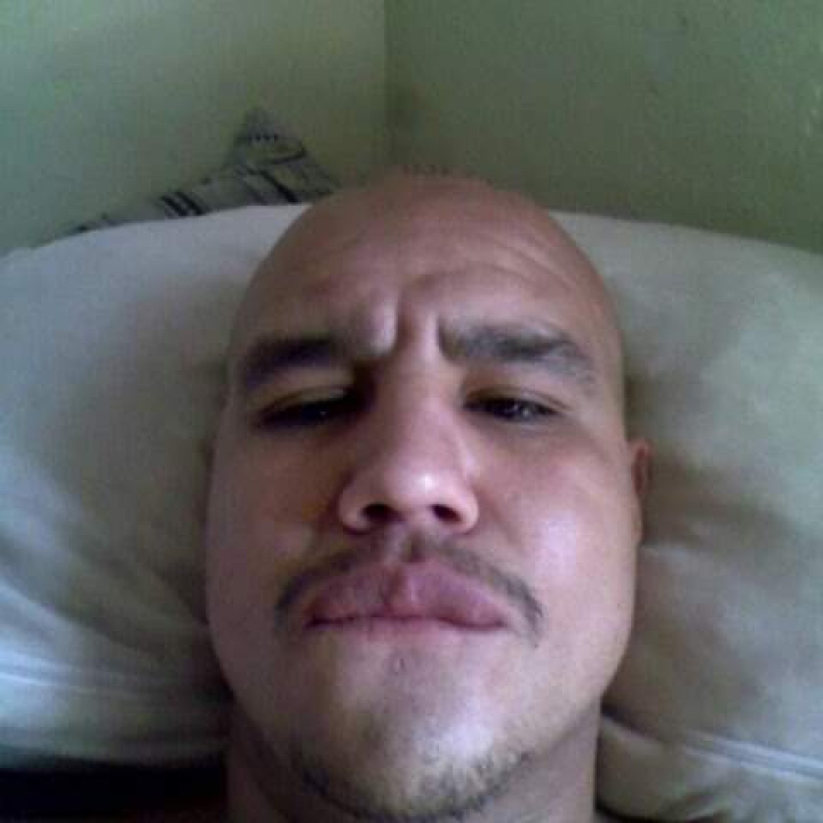 porkypalmero9429's Photo