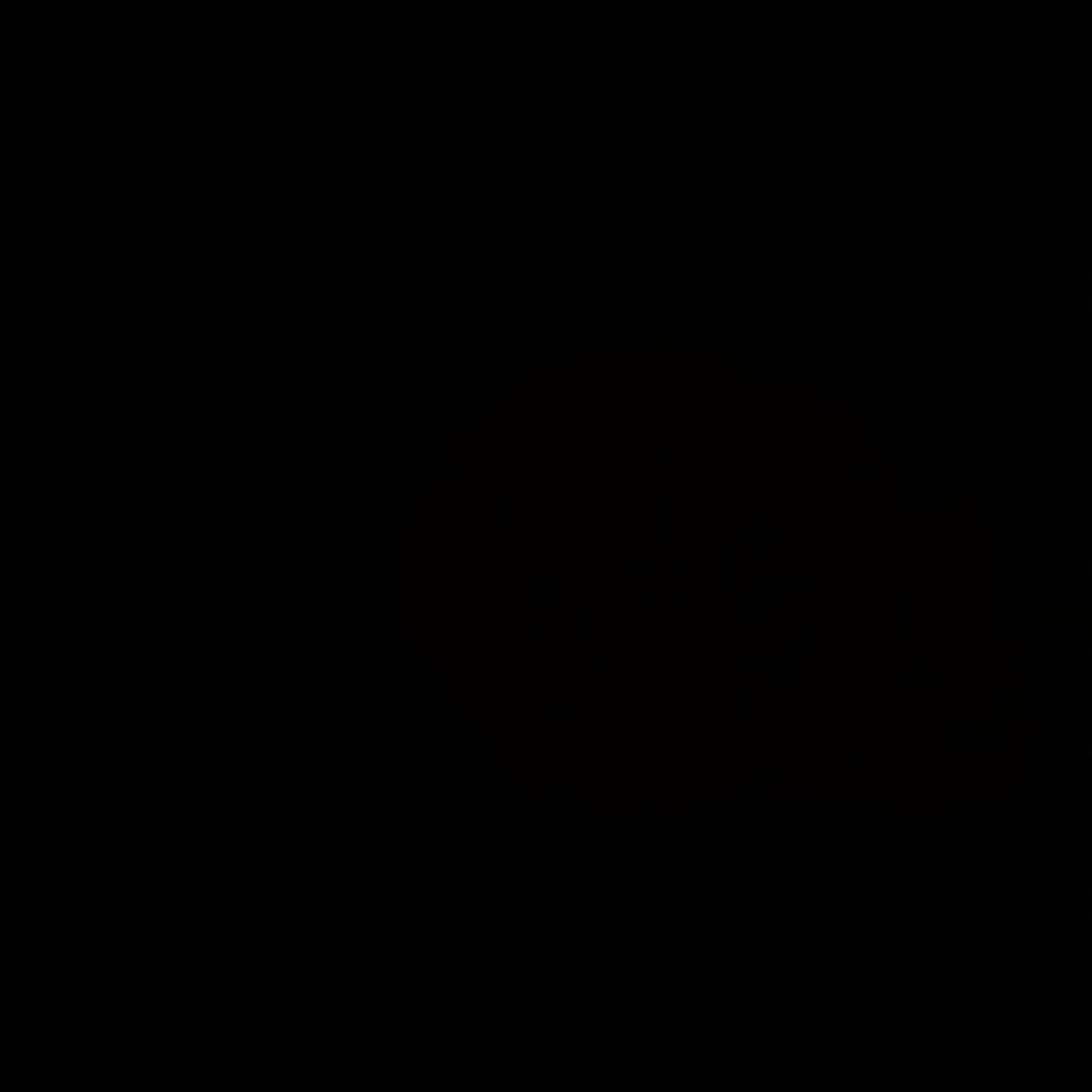 Alexis381038's Photo