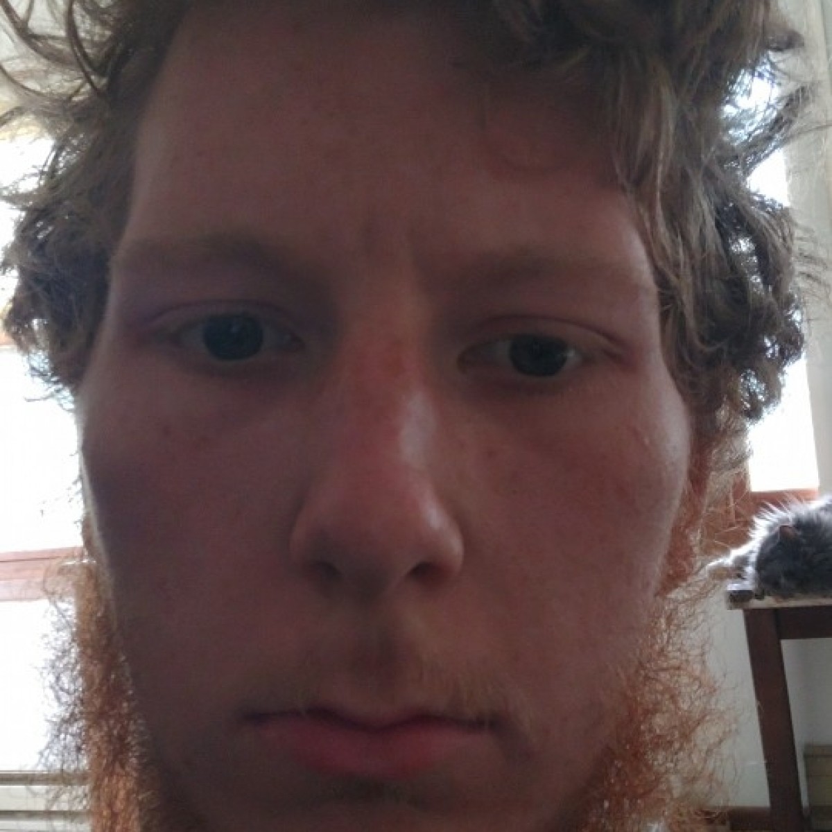 kyledavidenko8284875's Photo