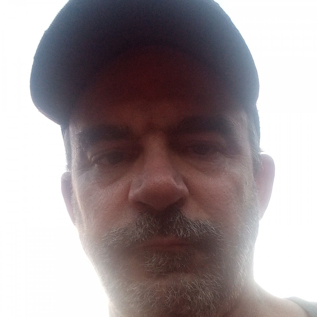 bama775129641's Photo