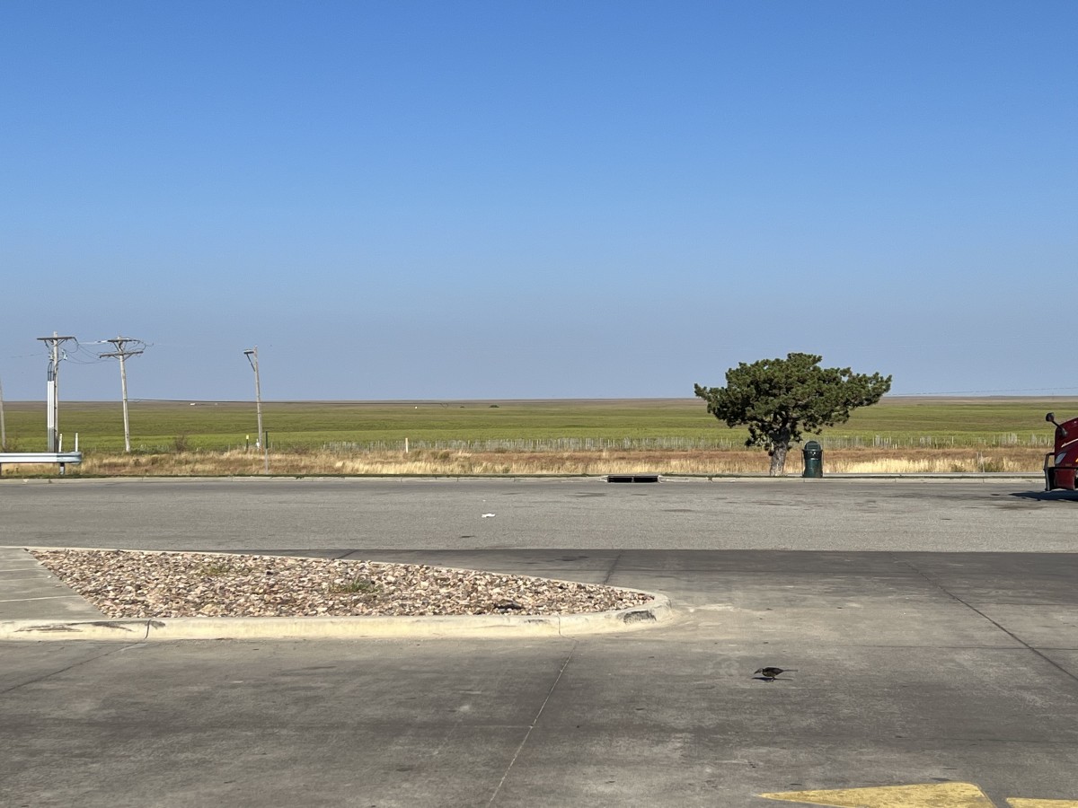 r3verseR1369's Photo