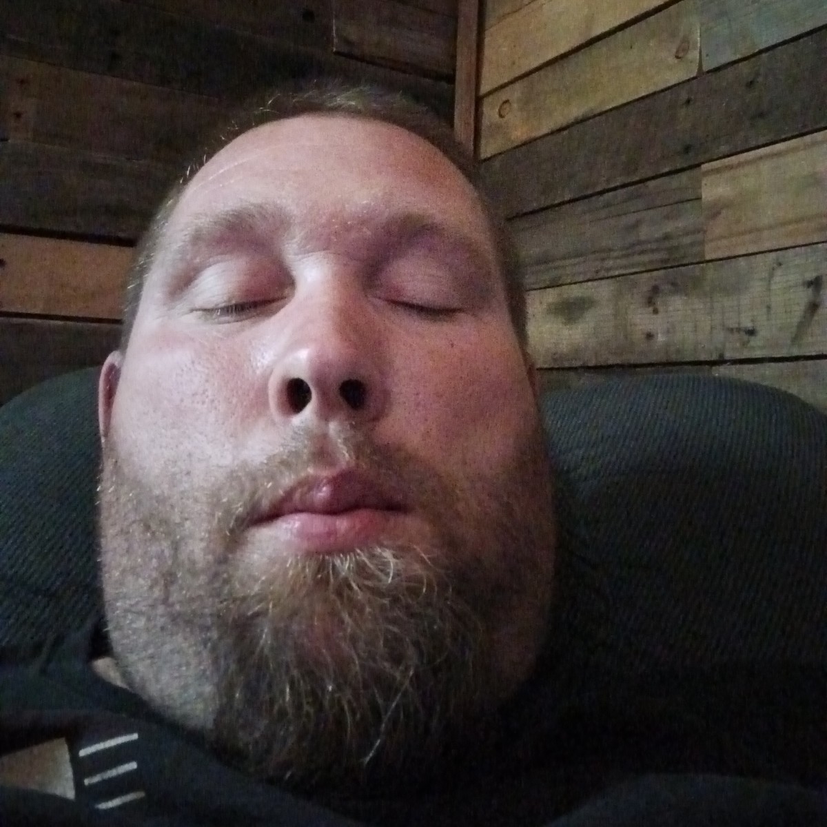 chapman456389387's Photo