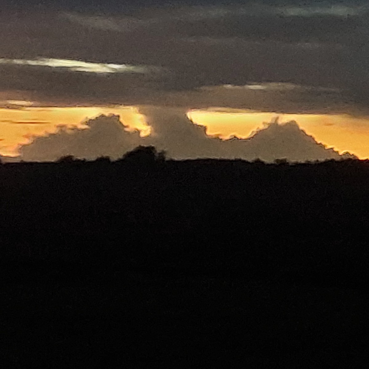 dtolley272312's Photo