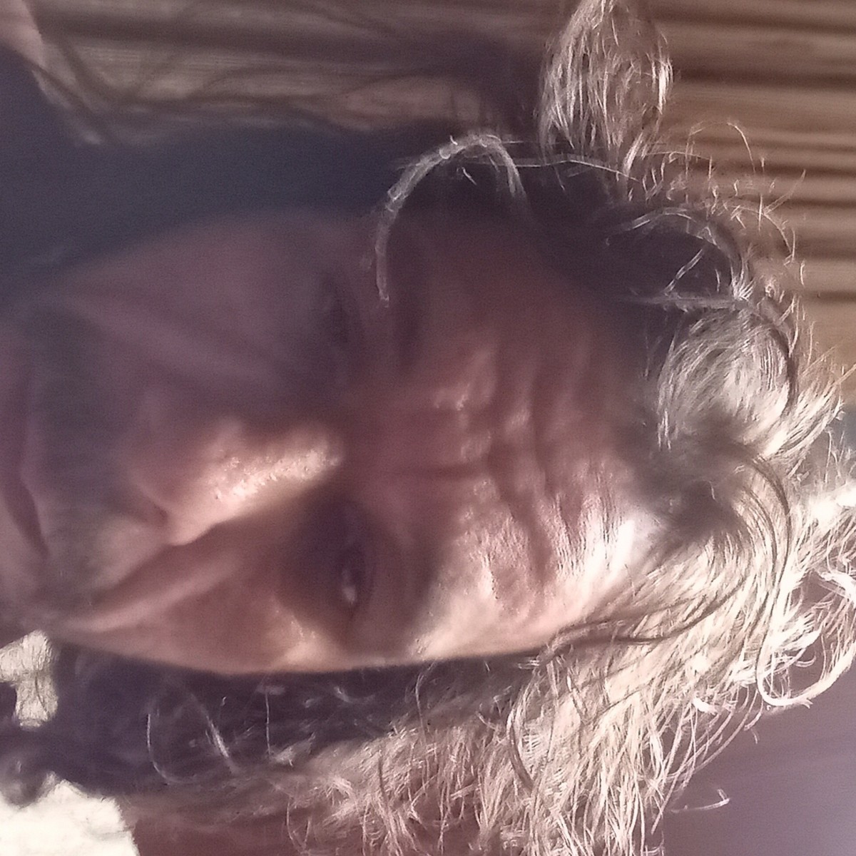 dandavehill9228's Photo