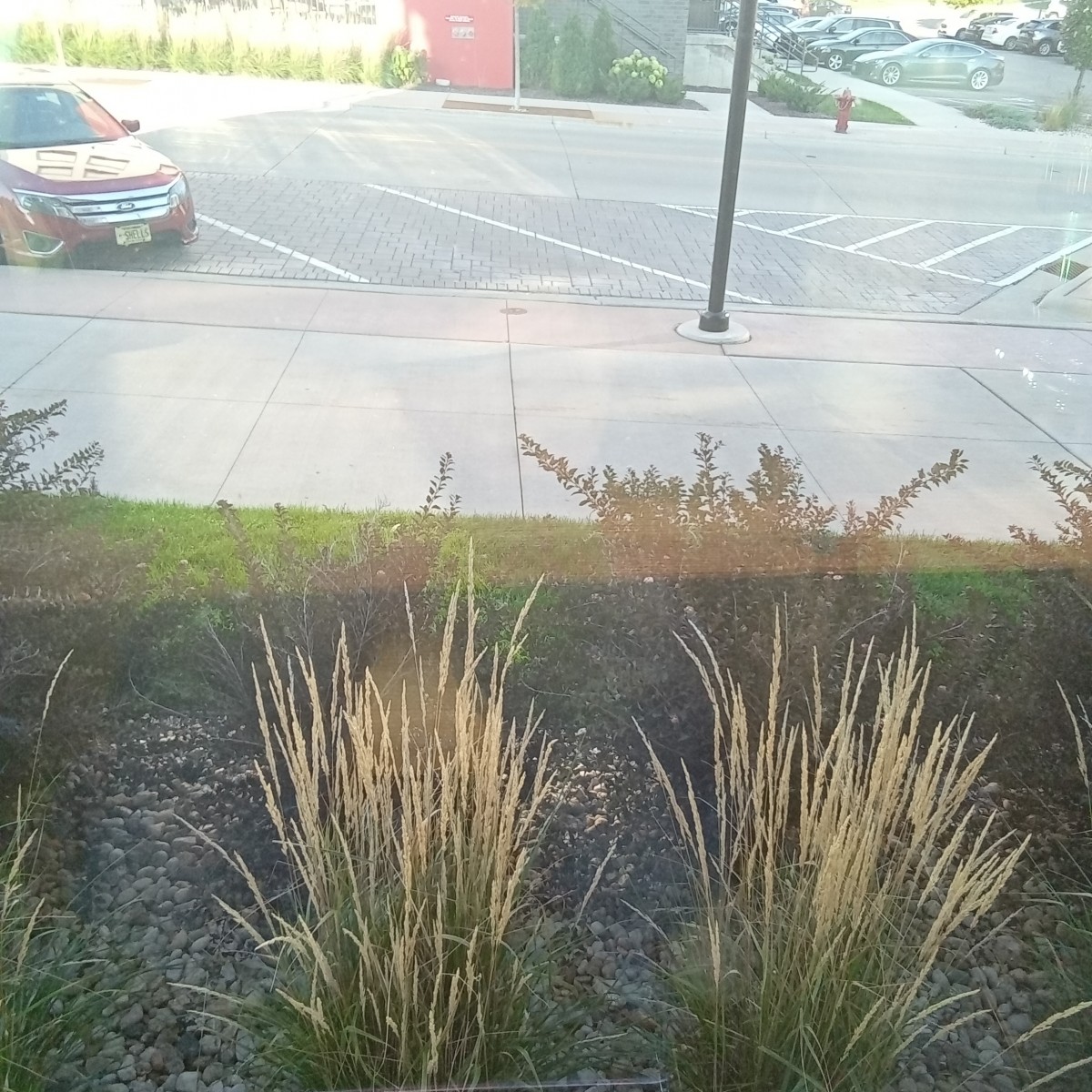 fudgebucketnow1166's Photo