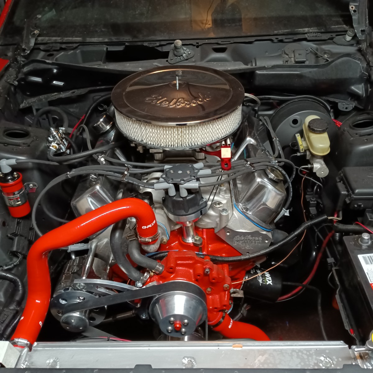 danielarbuckle39039's Photo