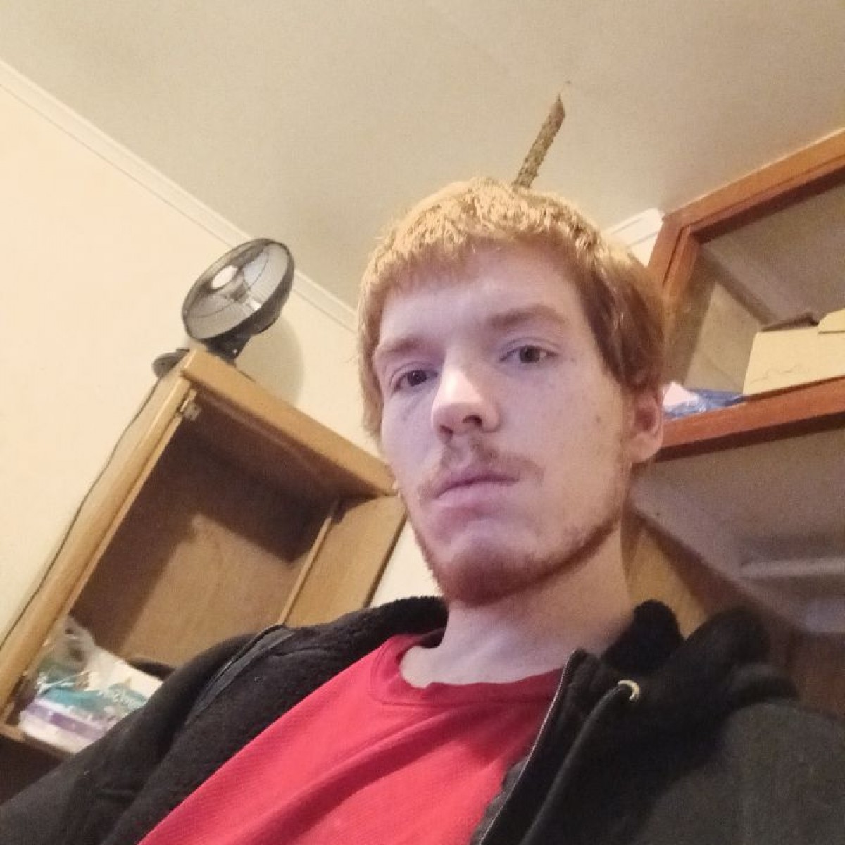 andyclarkson20179521's Photo